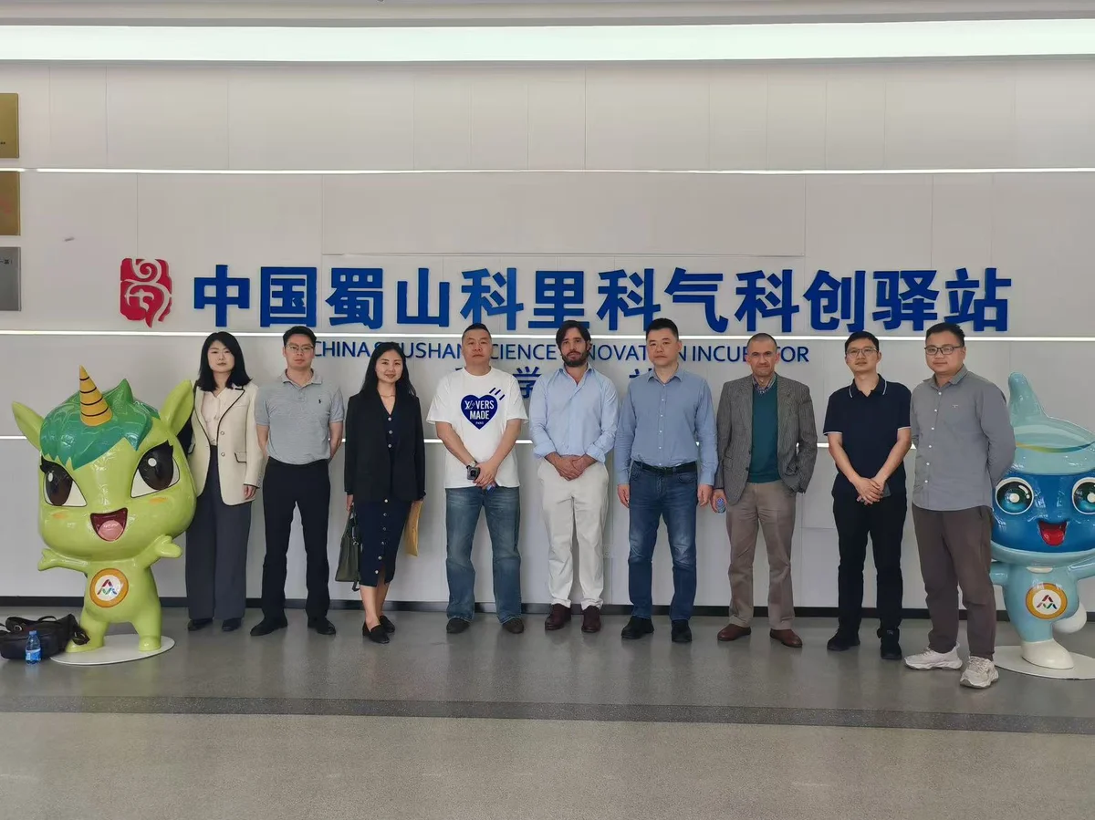 Energy Storage Asset Transactions